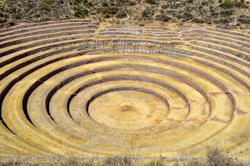 Terraced Inca Farms in Peru