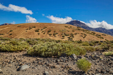 Landscape of El Teide