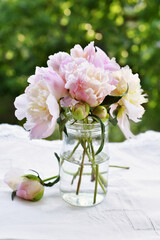 fresh peonies in glass jar in the garden