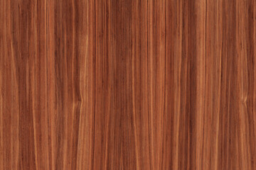 dark brown wood tree timber texture