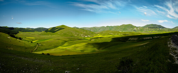 Obraz premium The beginning of flowering around Castelluccio di Norcia (June 2020): fields in lavish color, with red poppies, yellow rapeseed and other flowers.