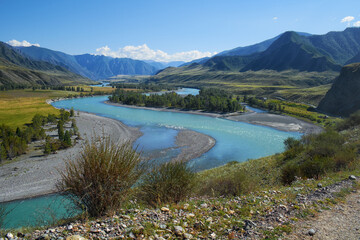 Fototapeta na wymiar Siberian river Katun in Altai mountains
