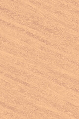 wooden tree timber background texture structure backdrop