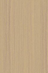 wooden tree timber background texture structure backdrop