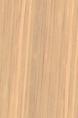 wooden tree timber background texture structure backdrop