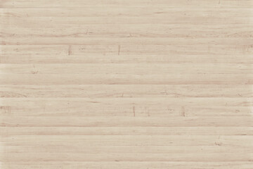 maple tree timber background texture structure surface