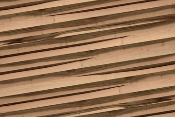 maple tree timber background texture structure surface