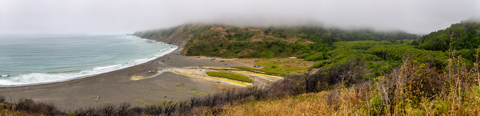 Fototapeta na wymiar Usal beach in Northern California on a foggy summer day