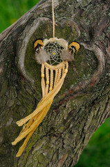 Native golden dream catcher with feathers in park