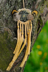 Native golden dream catcher with feathers in park