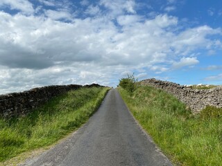 Moor top road, with dry stone walls, sheep and wild plants in, Hetton, Skipton, UK