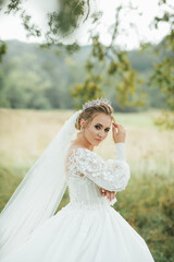 Fototapeta na wymiar Portrait of beautiful bride. Wedding dress. Wedding decoration