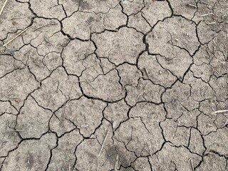 dry cracked earth