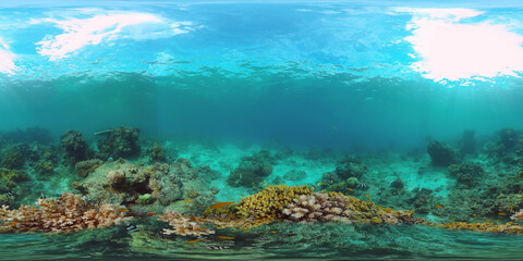 Underwater fish reef marine 360VR. Tropical colorful underwater seascape with coral reef. Panglao, Philippines.