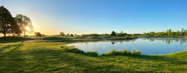 Fotobehang Mistige ochtendstond early morning on the golf course pond geese sunny fog