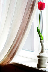 Beauty pink tulip in the unusual vase on the windowsill. Concept of love and elegance in the home interiors