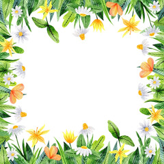 Watercolor hand-drawn floral frame with meadow flowers and leaves. Chamomiles, yellow gagea, eschscholzia, clovers on white background. Design for wedding invitations, greeting cards and covers.