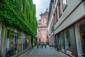 Landscape photographed in Heidelberg, Germany. Picture made in 2009.
