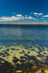 Küste mit Algen und blauem Himmel vertikal