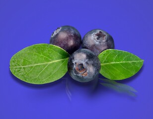 Blueberry.
