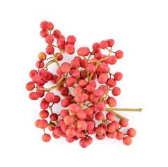 fresh sichuan pepper isolated on a white background
