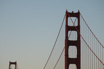 golden gate bridge close up with birds flying