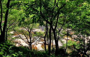 新緑の磊々峡（らいらいきょう）