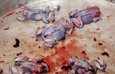 frogs skinned and alive