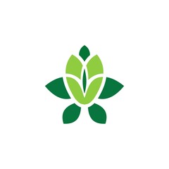 abstract woman beauty salon, empower and herbal supplement vitamin green organic vector logo design template