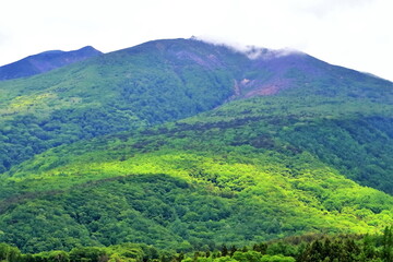 新緑の不忘山（ふぼうさん）