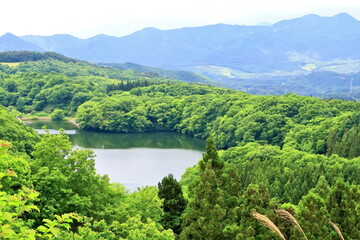 新緑の長老湖