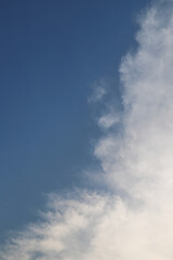 Scenery of cloudy blue sky. Vertical view.