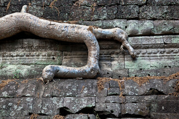 siem reap cambodia temples Ankor Wat, angor Wat