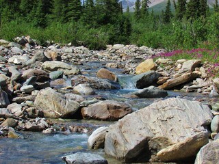 river and rocks