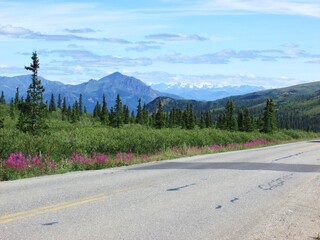 road in the mountains with a view 