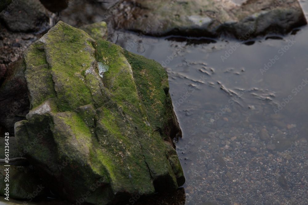 Poster Close up shot of a rock covered in green moss in water