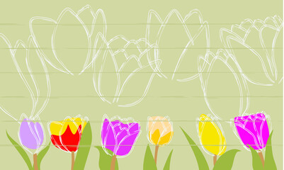 Fototapeta premium set of tulips vector