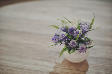 Close up of small purple flower on a white pot with blurry cafe ambience as background.