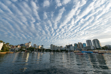 Fototapeta premium Downtown Sydney skyline in Australia