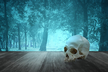 Human skull on the wooden floor with smoke and fog