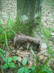 Fototapeta premium Box of Russian gas mask from World War II in the middle of the forest