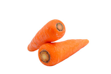 Fresh carrot