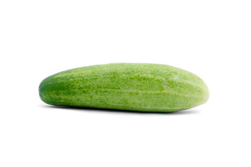 Fresh cucumber