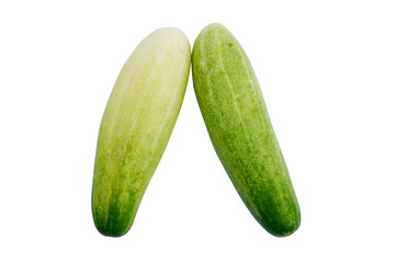 Fresh cucumber