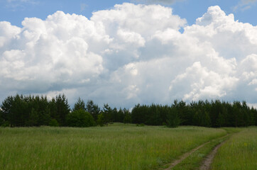 Дорога в лес под облаками
