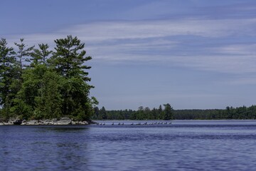 Beautiful shot of the Morris Island conservation area