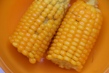 corn or maize in orange bowl