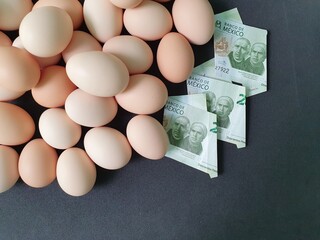 investment in organic egg with mexican money for healthy food