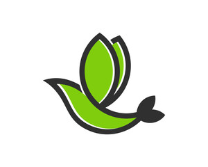 Abstract green leaf form a healthy bird