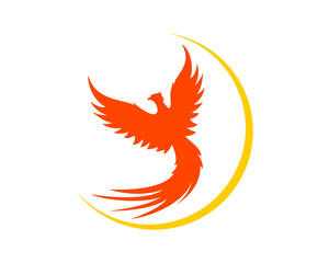 Flying phoenix with light sun